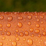Roxil Wood Protection Cream (3 L) Up Close Water Beads - Toner Dampproofing Supplies Ltd