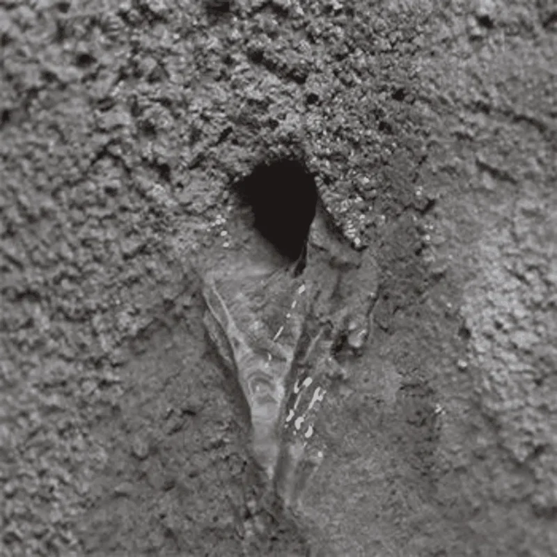 Drybase Waterproof Plug Leak- Toner Dampproofing Supplies Ltd
