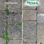 Roxil Wood & Patio Cleaner On Surface - Toner Dampproofing Supplies Ltd