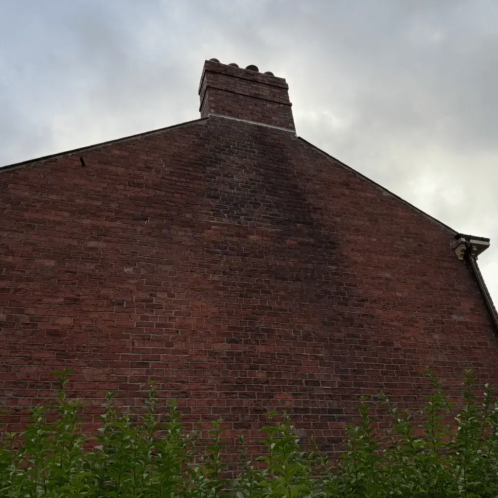Penetrating Damp On A Belfast Property – Toner Dampproofing Supplies Ltd (Ireland)